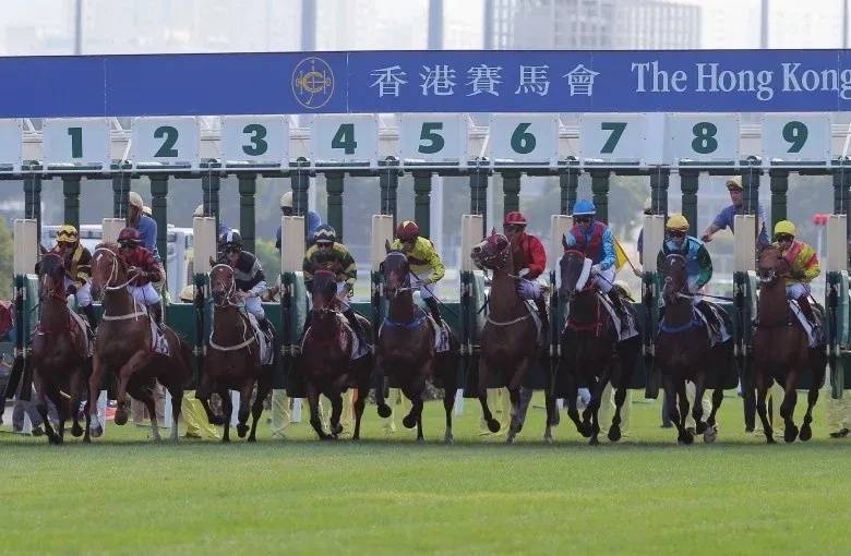 香港马资料更新最快的：香港马资料更新最快的赛马预测与分析