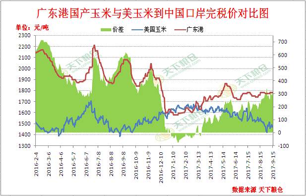 济南玉米价格最新行情分析