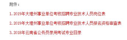 大理州事业单位招聘网——探索与解析