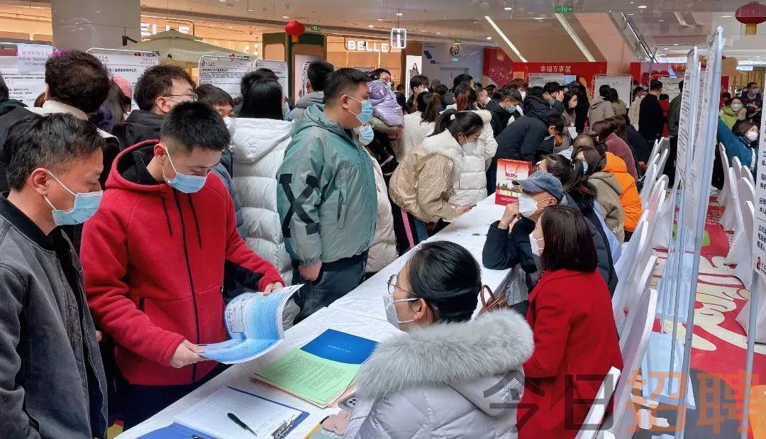 大港新区人才市场招聘网，连接人才与机遇的桥梁