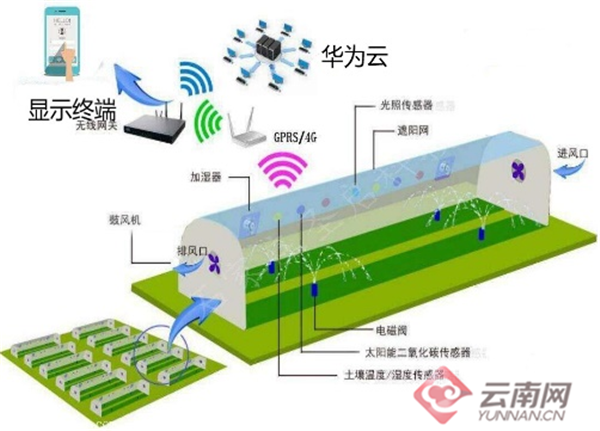 大丰人才网手机触屏板，连接人才与机遇的智能化桥梁