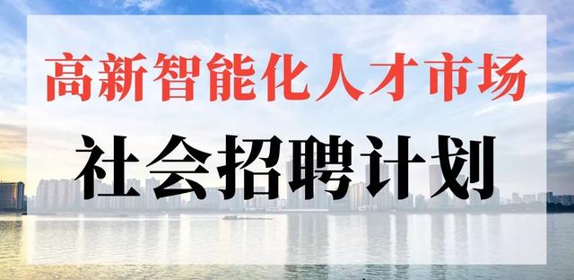 大方人才市场招聘，探寻人才市场的机遇与挑战