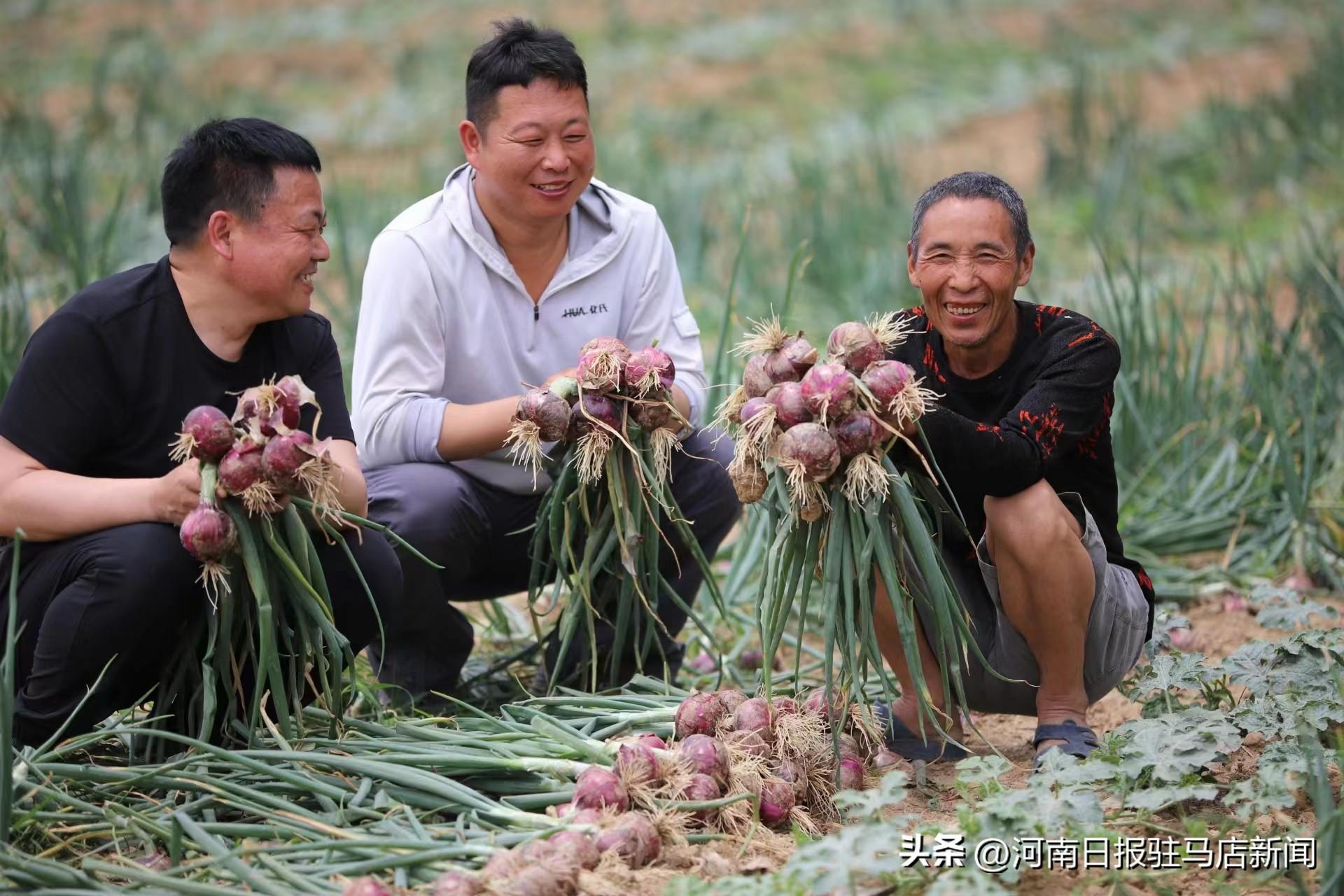 大聪明带你聆听经典老歌，时光流转中的旋律之美