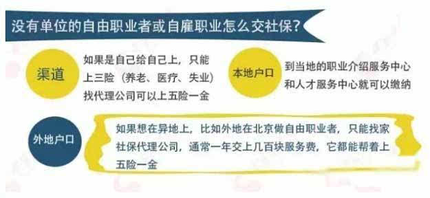 大楚人才网最新招聘，探索职业发展的无限可能