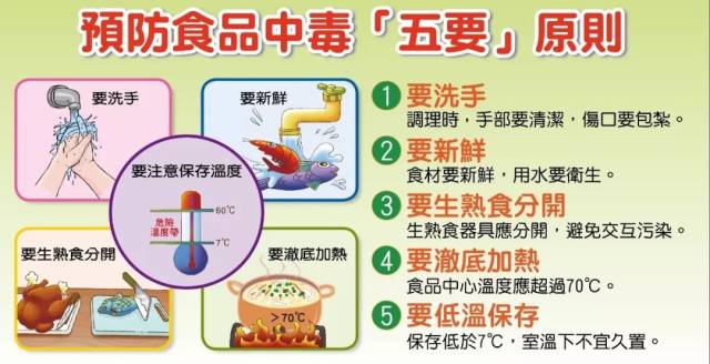 大肠加工招工信息最新招聘——走进食品加工行业的新机遇