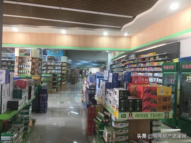 大宝百货店的品牌丰富度与多样性研究