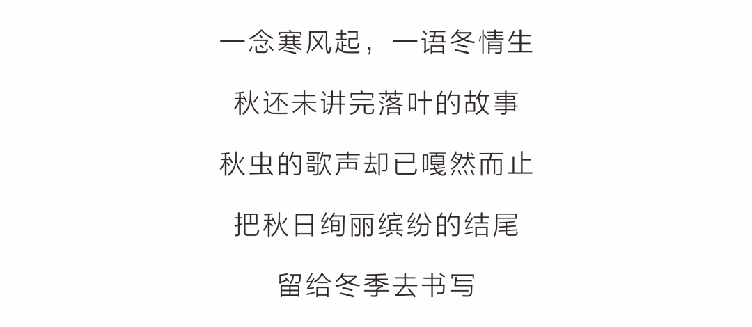 寸草心经典老歌，岁月流转中的旋律与情感