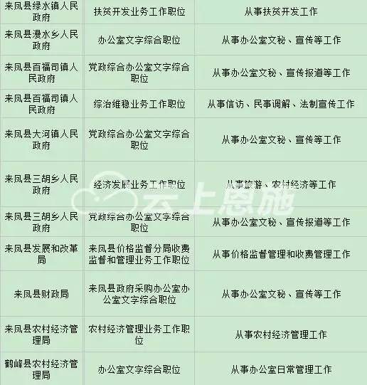 村文书公务员报考条件解析