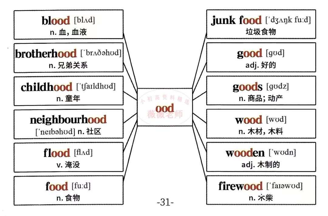 词根词缀与专升本之路，探索语言学习的进阶策略