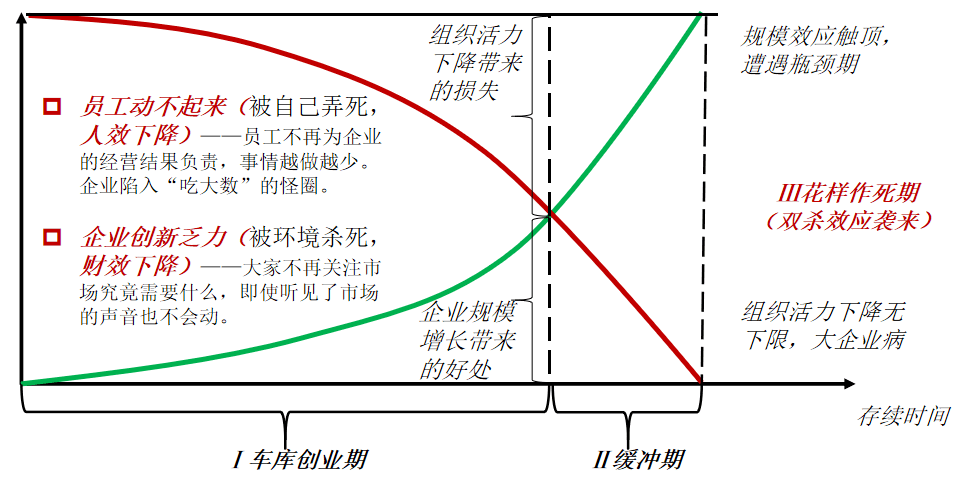 淳安人才网——连接人才与机遇的桥梁