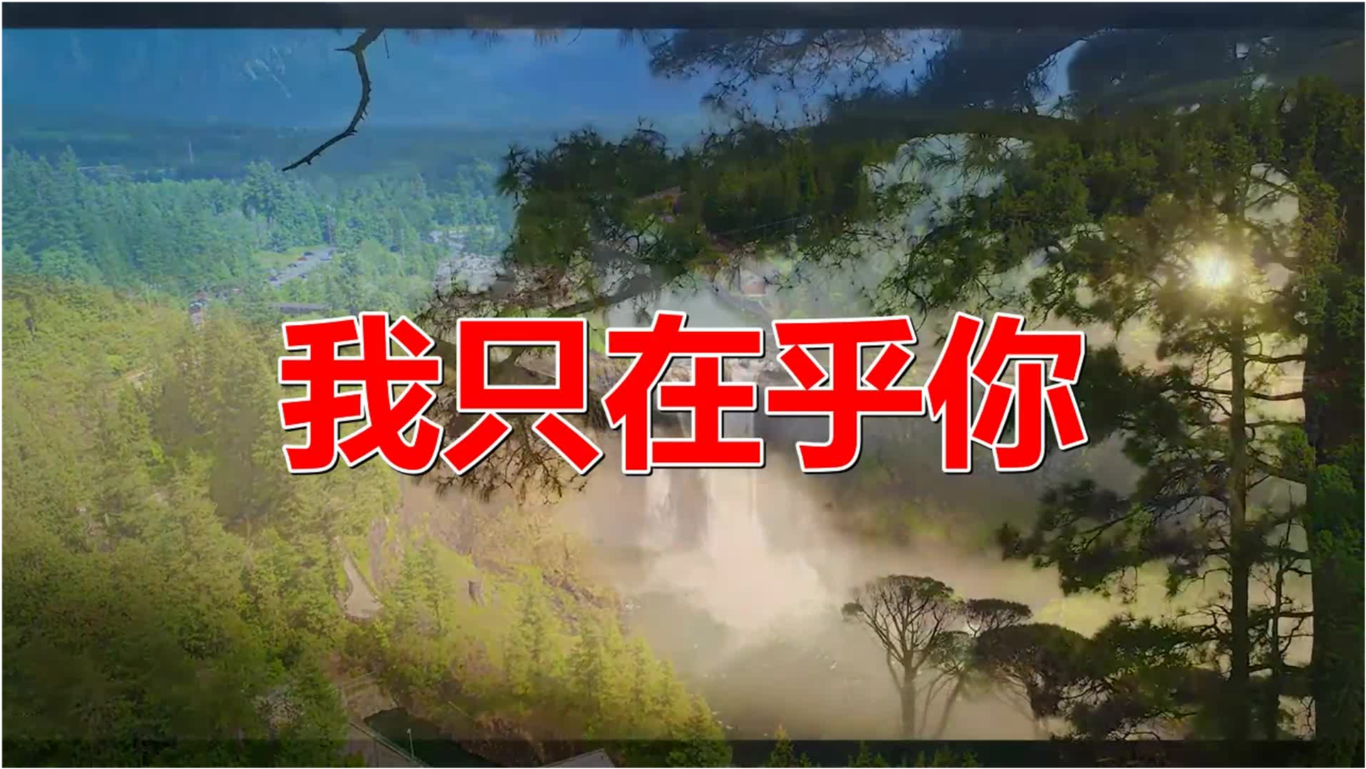 春经典老歌五百首，岁月里的旋律与诗意