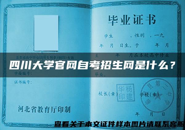 川大自考网官网登入指南及相关信息解析