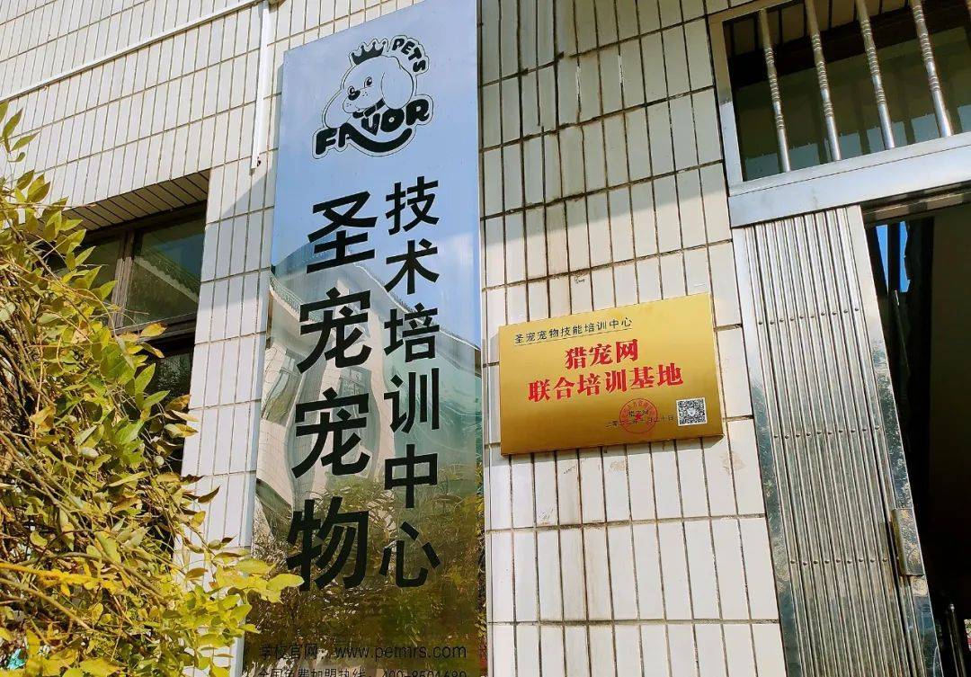 宠物人才市场招聘信息概览