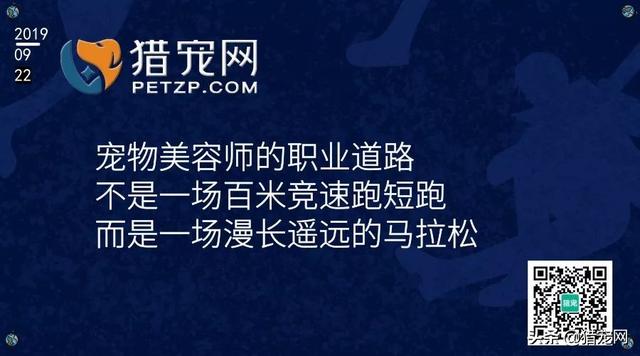 宠物类人才招聘信息网——连接人与宠物的桥梁