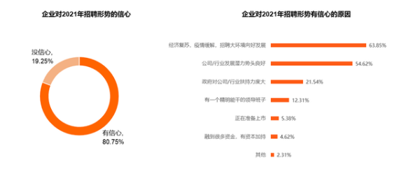 崇明人才网最新招聘信息概览