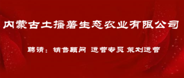 赤峰人才网最新招聘求职动态深度解析