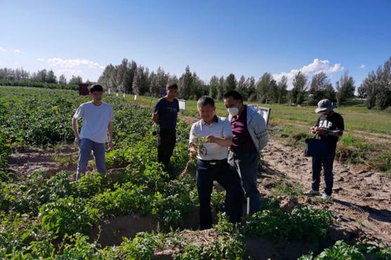 赤峰人才网——赤峰地区人才招聘与求职的重要平台