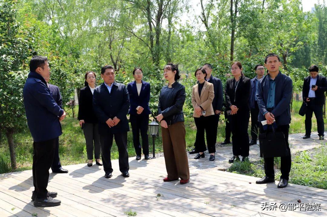 池州青阳人才市场招聘，探寻人才与机遇的交汇点