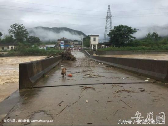 池州百货批发市场，繁荣商贸的脉搏