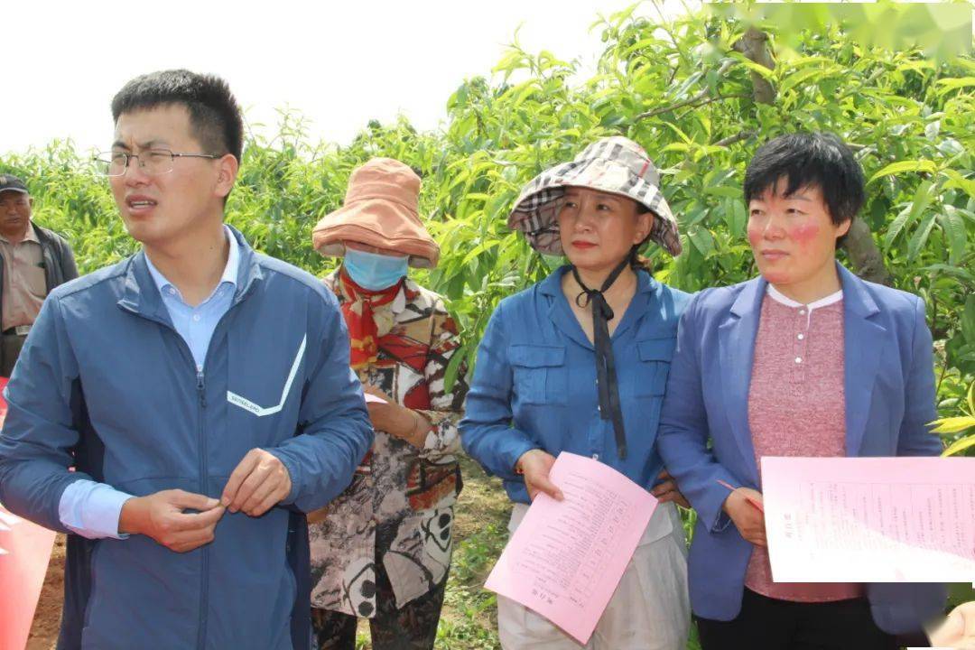 承德双桥区自考网，助力个人发展的在线学习平台