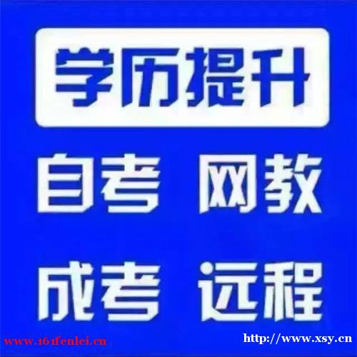 成人自学考试网官网查询，便捷获取学历与成就未来的关键