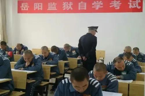 成人自考网课学习，探索高效、灵活的学习之路