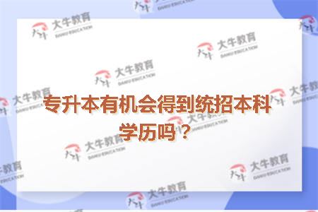 成人专升本语文，挑战与机遇并存的学习之旅