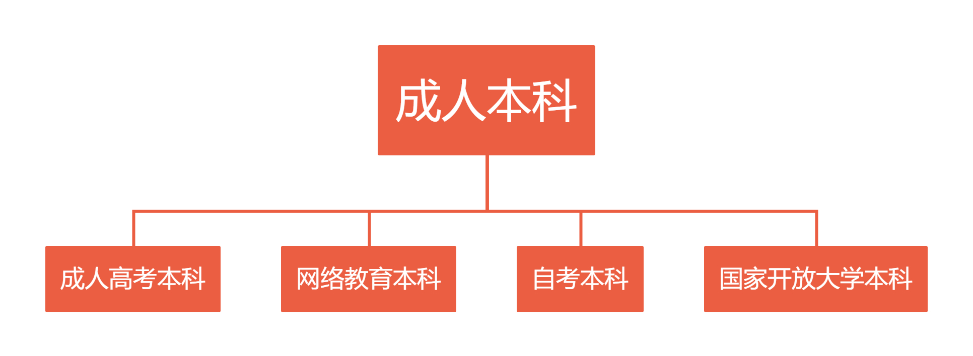 关于成人专升本的费用及其影响因素的深度解析