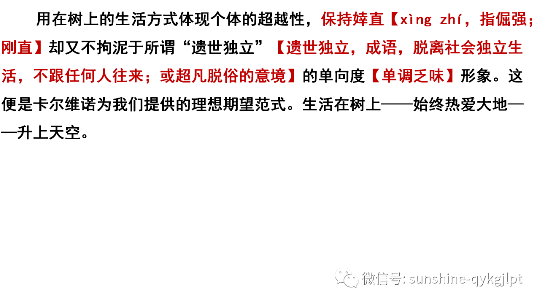 成人高考专升本语文备考策略及重要性