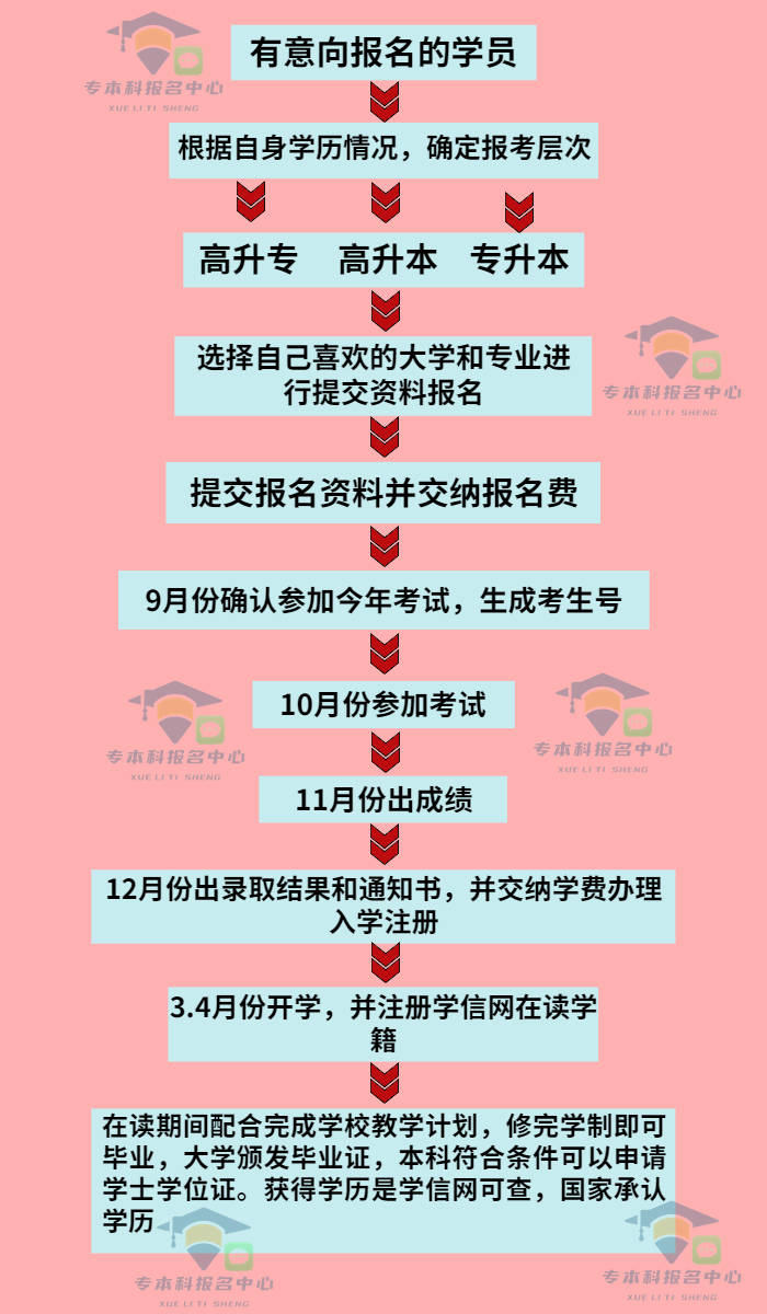 成人高等自学考试网，助力终身学习与发展