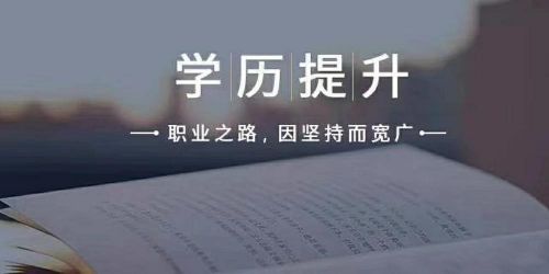 成考自考网，助力梦想起航的坚实桥梁