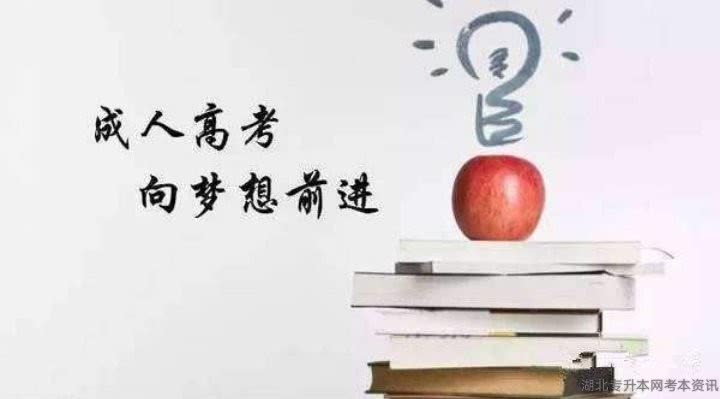 成教专升本学校，探索与选择