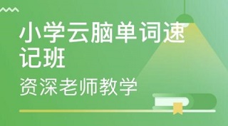 成华高中英语培训班电话——助力您英语能力的飞跃